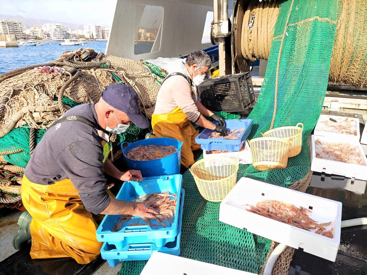 Pescadores de Águilas, con capturas de gambas