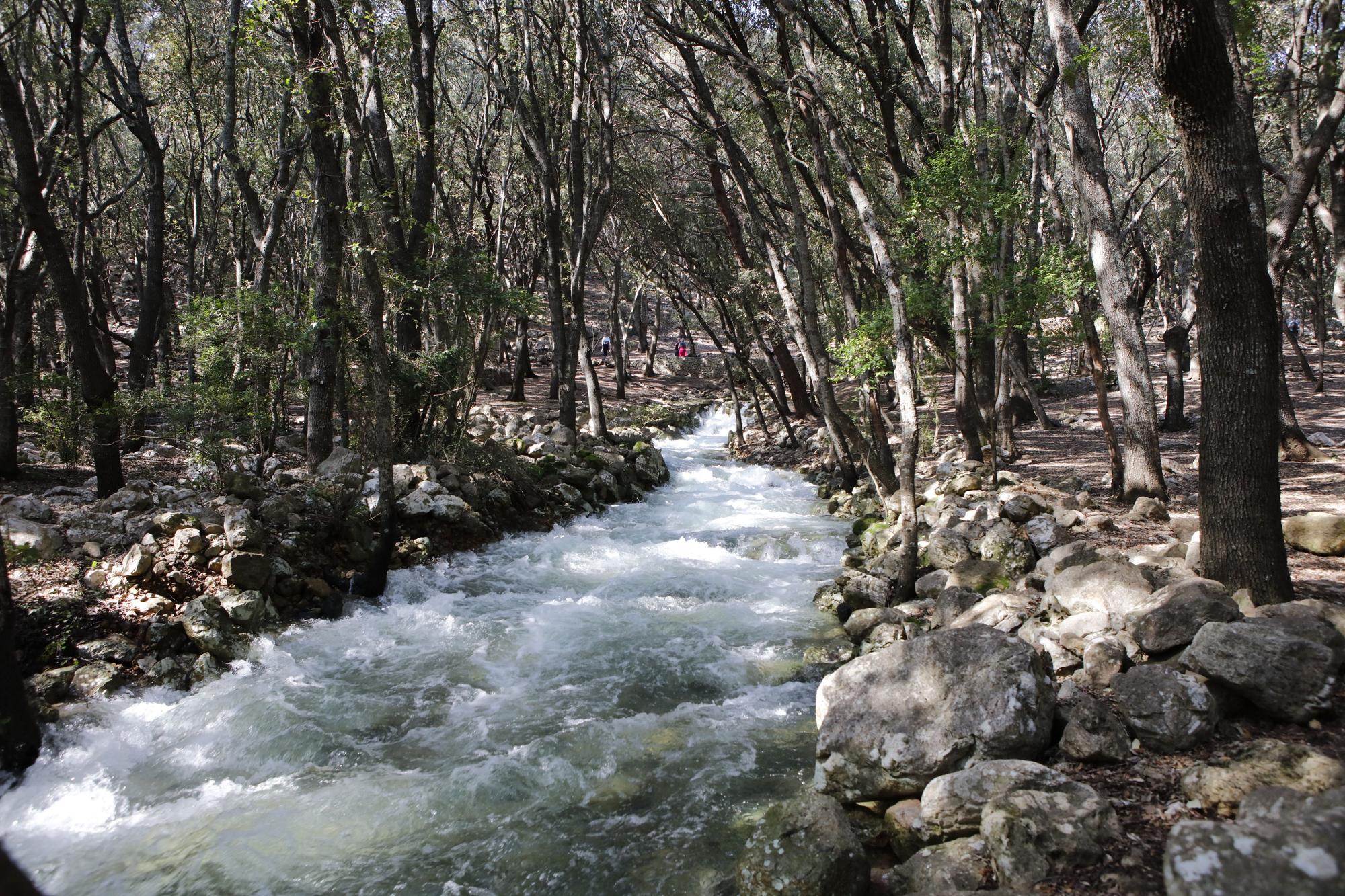 Die Quellen sprudeln wieder: Impressionen einer Wanderung zu Ses Fonts Ufanes auf Mallorca