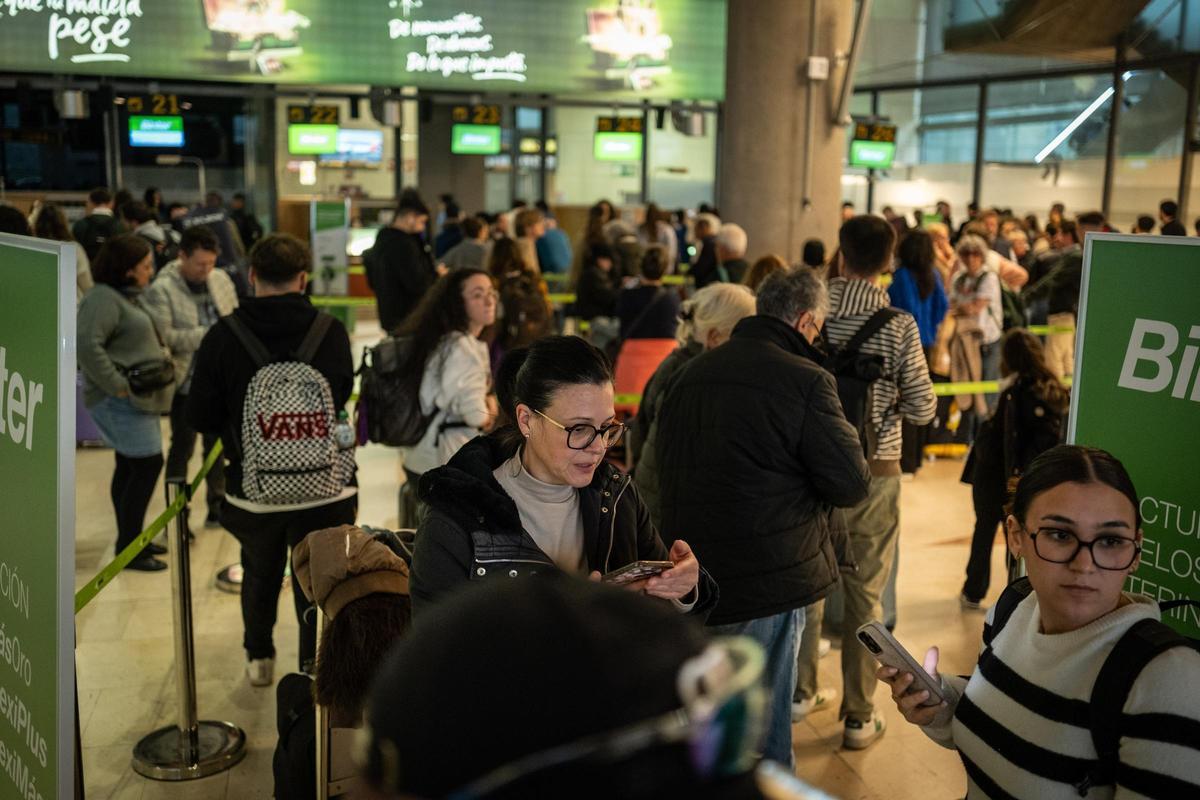 Efectos de la borrasca Francis en Tenerife Efectos de la borrasca Francis en Tenerife