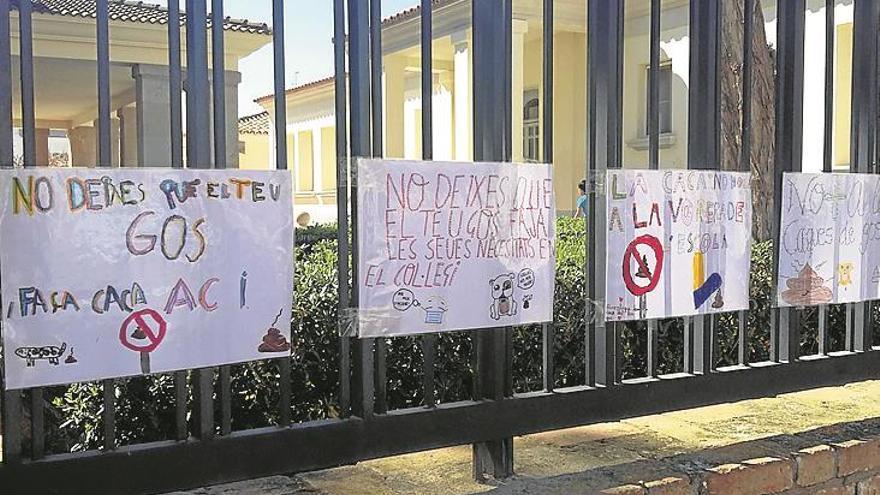 escolares de nules piden recoger los EXCREMENTOS