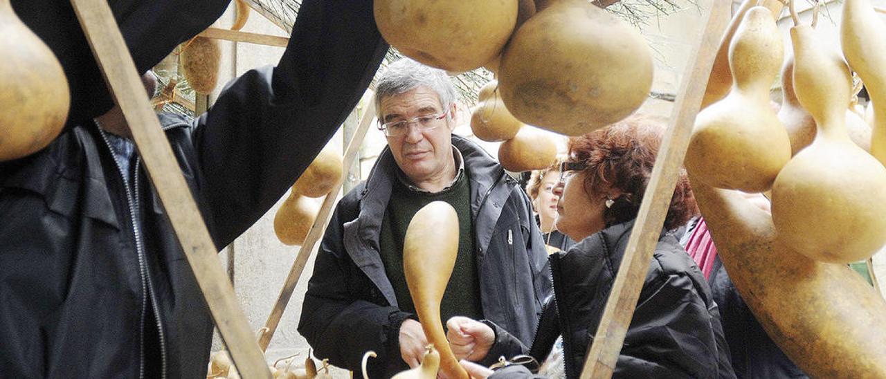 Feria de la Calabraza en Pontevedra en una edición anterior. / Rafa Vázquez