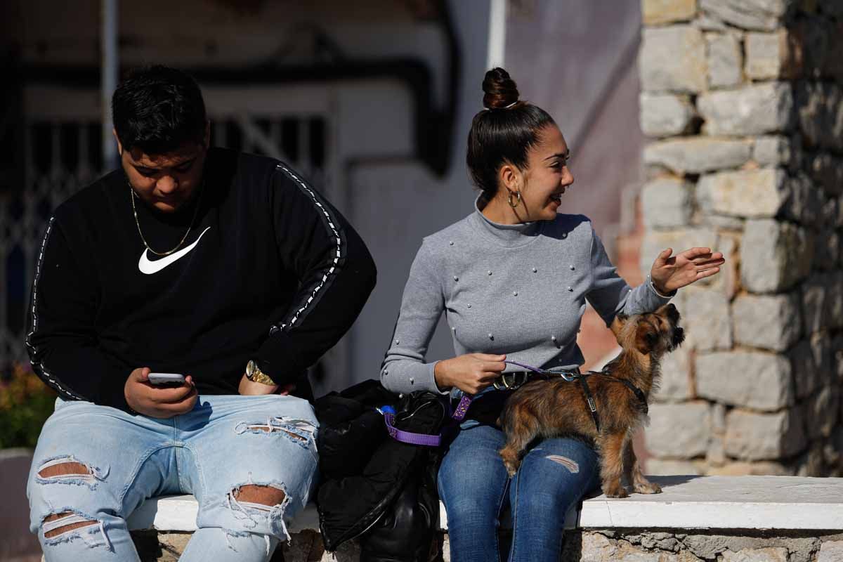 Bendición de animales en Sant Antoni