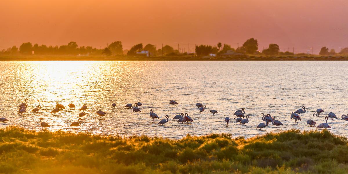 Parque Natural del Delta del Ebro