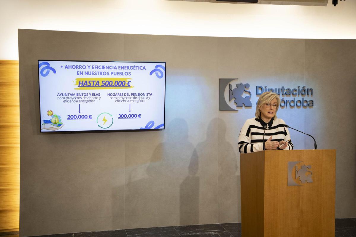 Tatiana Pozo, en la presentación de los presupuestos de la Agencia de la Energía.