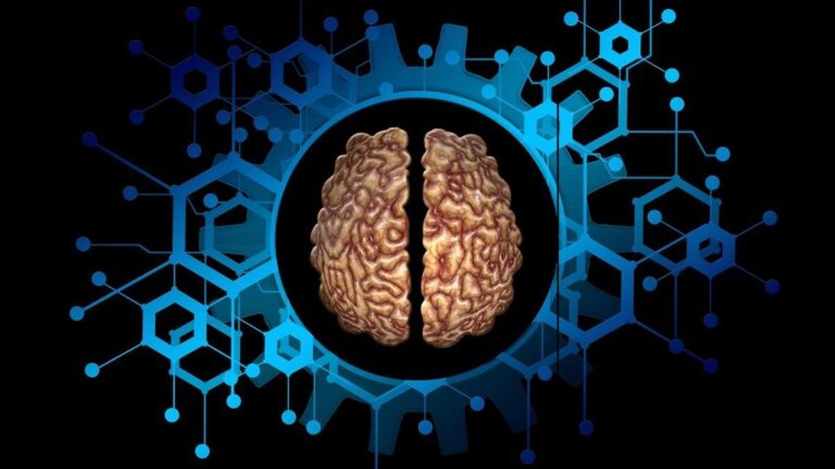 Un nuevo sistema neuroelectrónico lee y modifica circuitos cerebrales