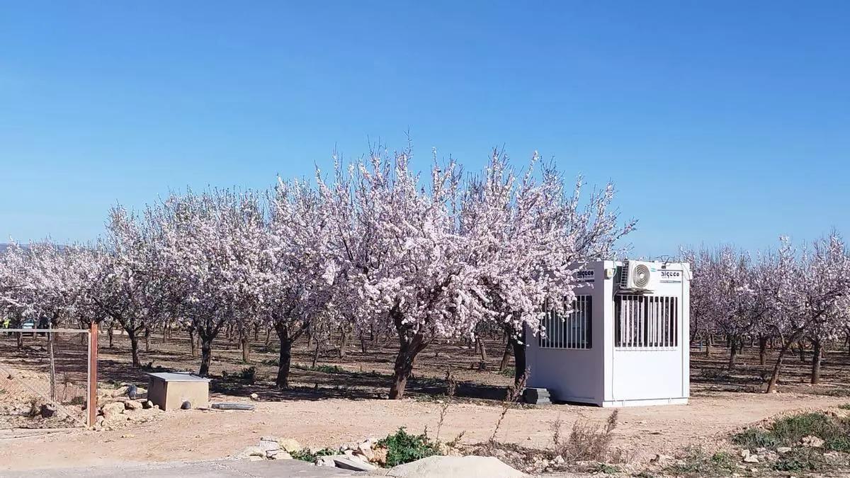 Ubicación donde van a construir el proyecto de planta de biometano en Llíria.