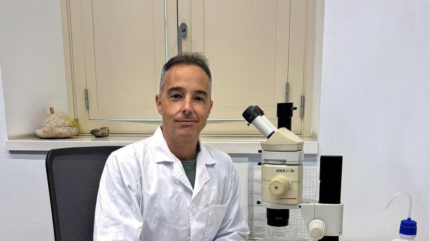 Alejandro de Vera asume la dirección del Museo de Ciencias Naturales de Tenerife