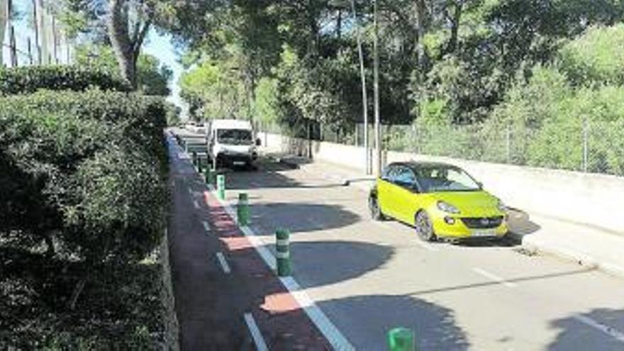 Los pinos se levantan frente al CEIP Costa i Llobera.