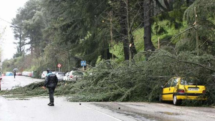 Un policía, ante el coche patrulla sobre el que se cayó un árbol con un compañero dentro.  // Nick