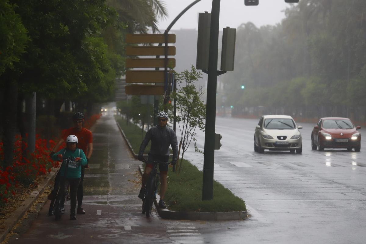 Ciclistas y coches bajo la lluvia esta mañana en Córdoba.