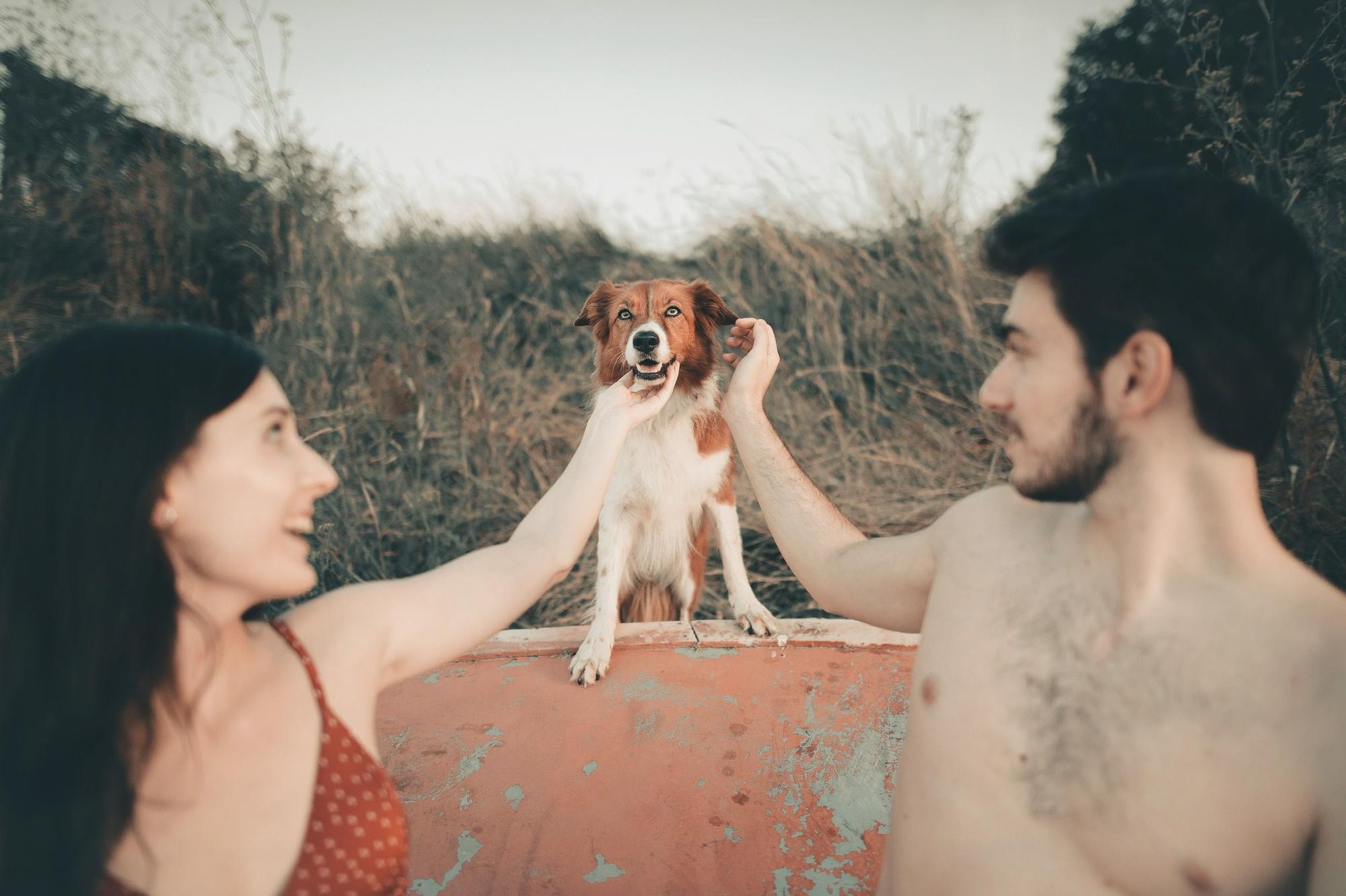 Retratos para concienciar contra el abandono animal