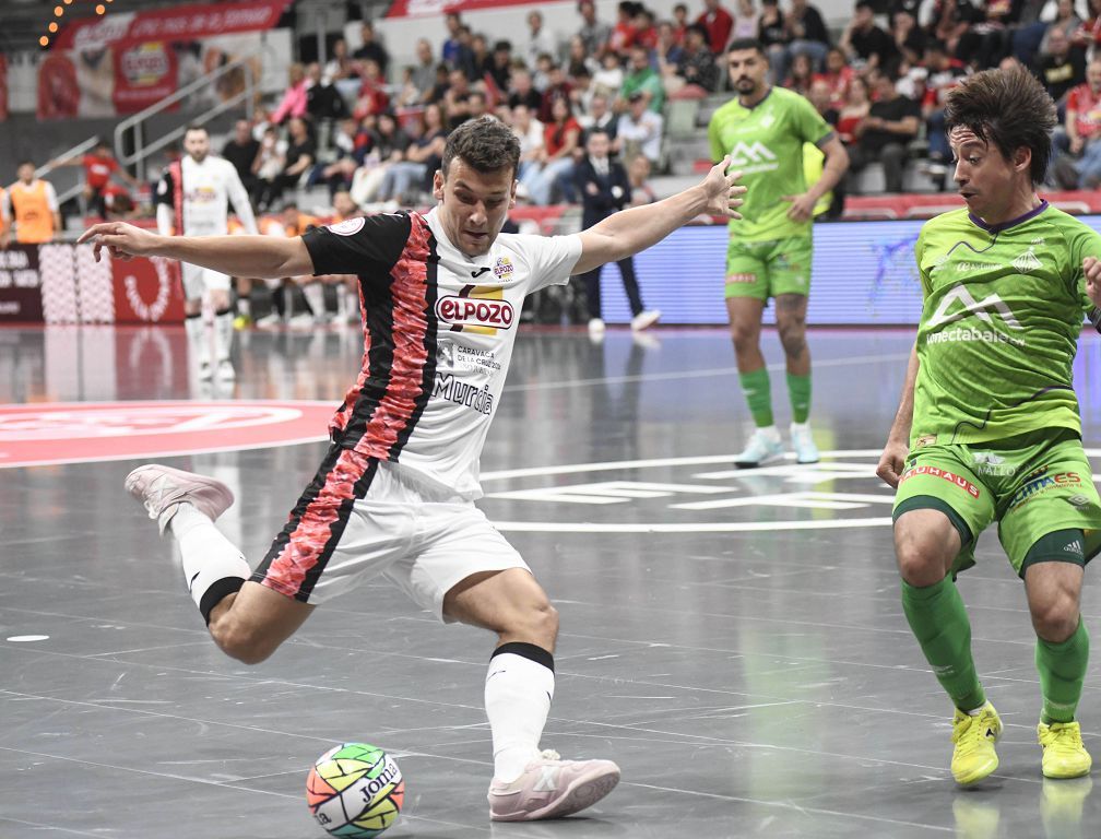 Todas las imágenes de ElPozo y el Palma Futsal