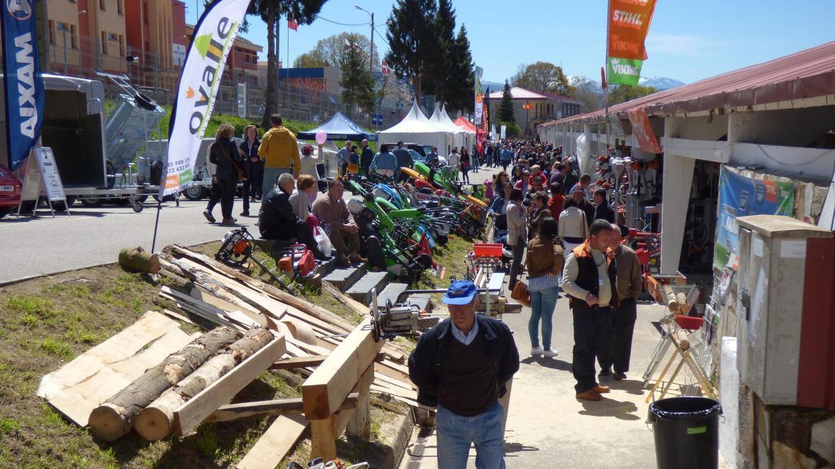 En imágenes: Repaso a los diferentes eventos que se celebran en el recinto ferial de Santa Teresa