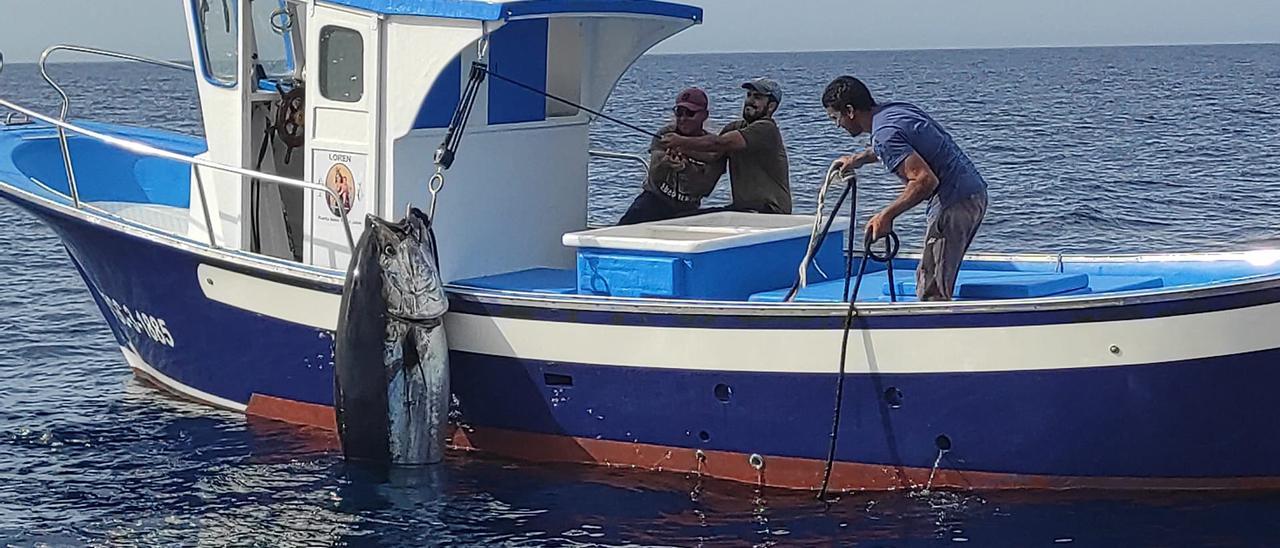 Dos pescadores canarios captura un atún.