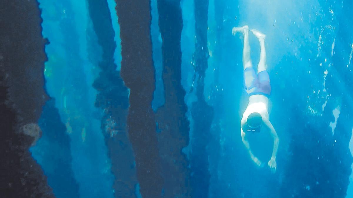 Un joven bucea entre las cuerdas de una batea en la ría de Pontevedra.