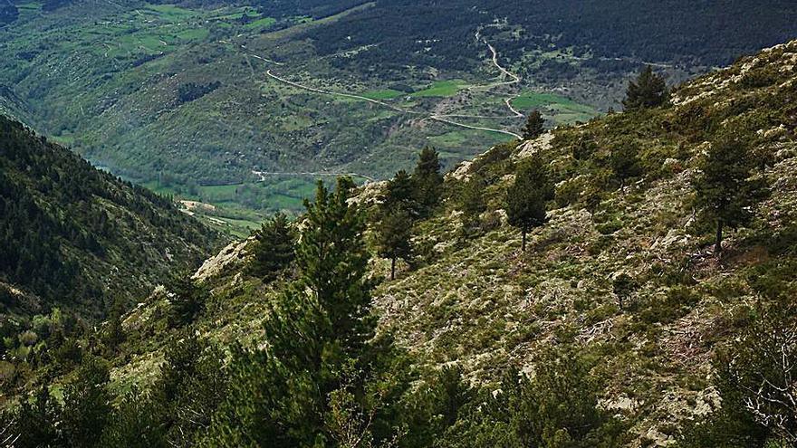 Bellver crea una nova proposta d’esport        i natura solidària per a tots els nivells