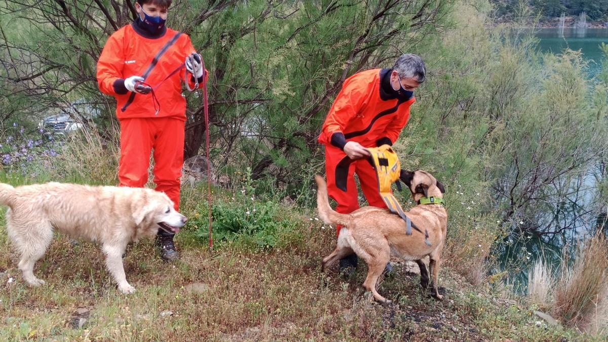 Bomberos preparando a sus canes para un servicio.