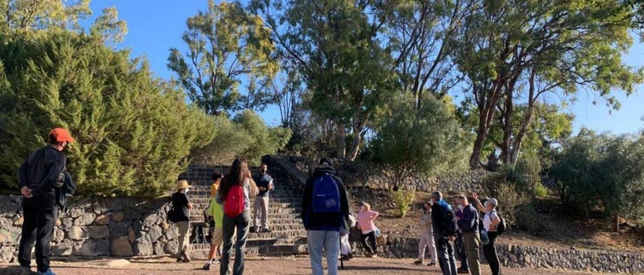 Participantes de una excursión por el monte de Las Mesas.