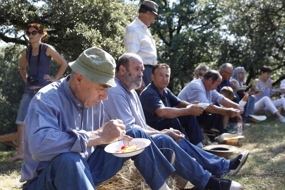 Festa del Segar i el Batre a Avià