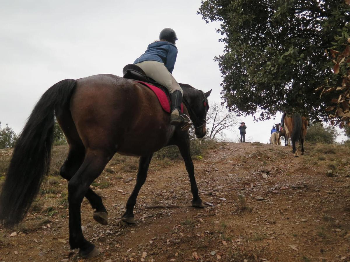 Un moment de la jornada en un passeig a cavall