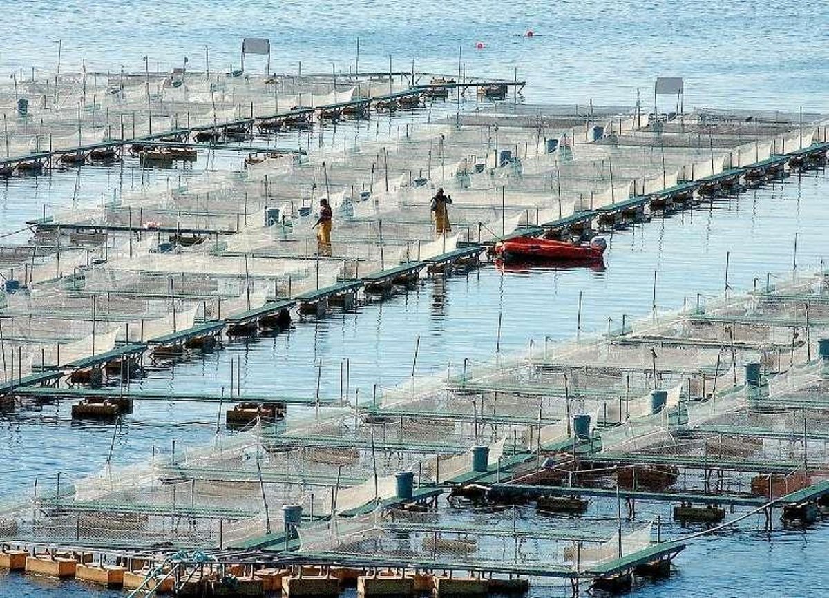 Una salida pionera para marineros del banco canario sahariano