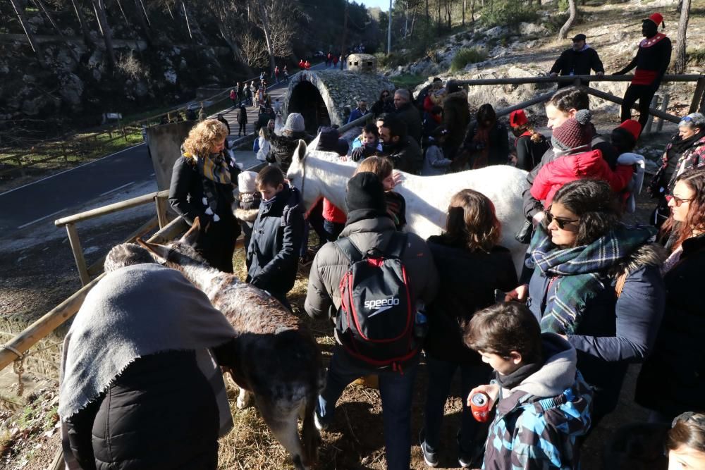 El Campamento Real atrae a más de 20.000 personas