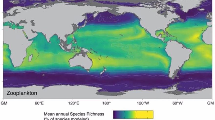 El calentamiento de los océanos antropogénico provocará que muchas especies de plancton marino busquen nuevos hábitats.