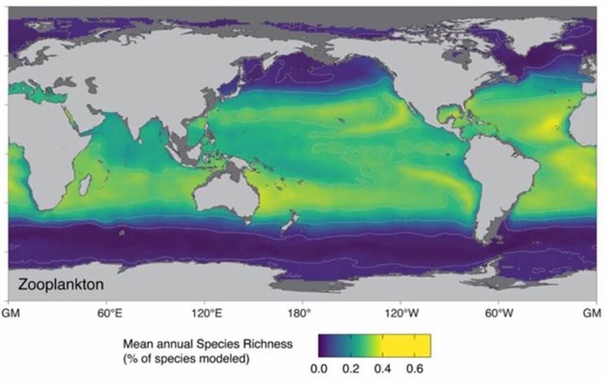 El calentamiento de los océanos antropogénico provocará que muchas especies de plancton marino busquen nuevos hábitats.