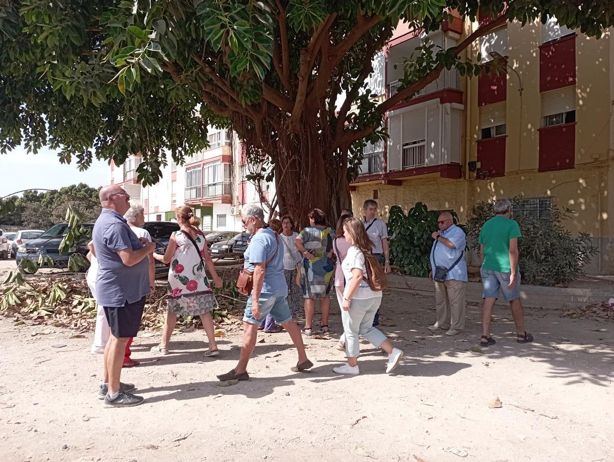 Los vecinos también piden el mantenimiento de este ficus, que deja sin luz natural al bloque vecino durante todo el año.