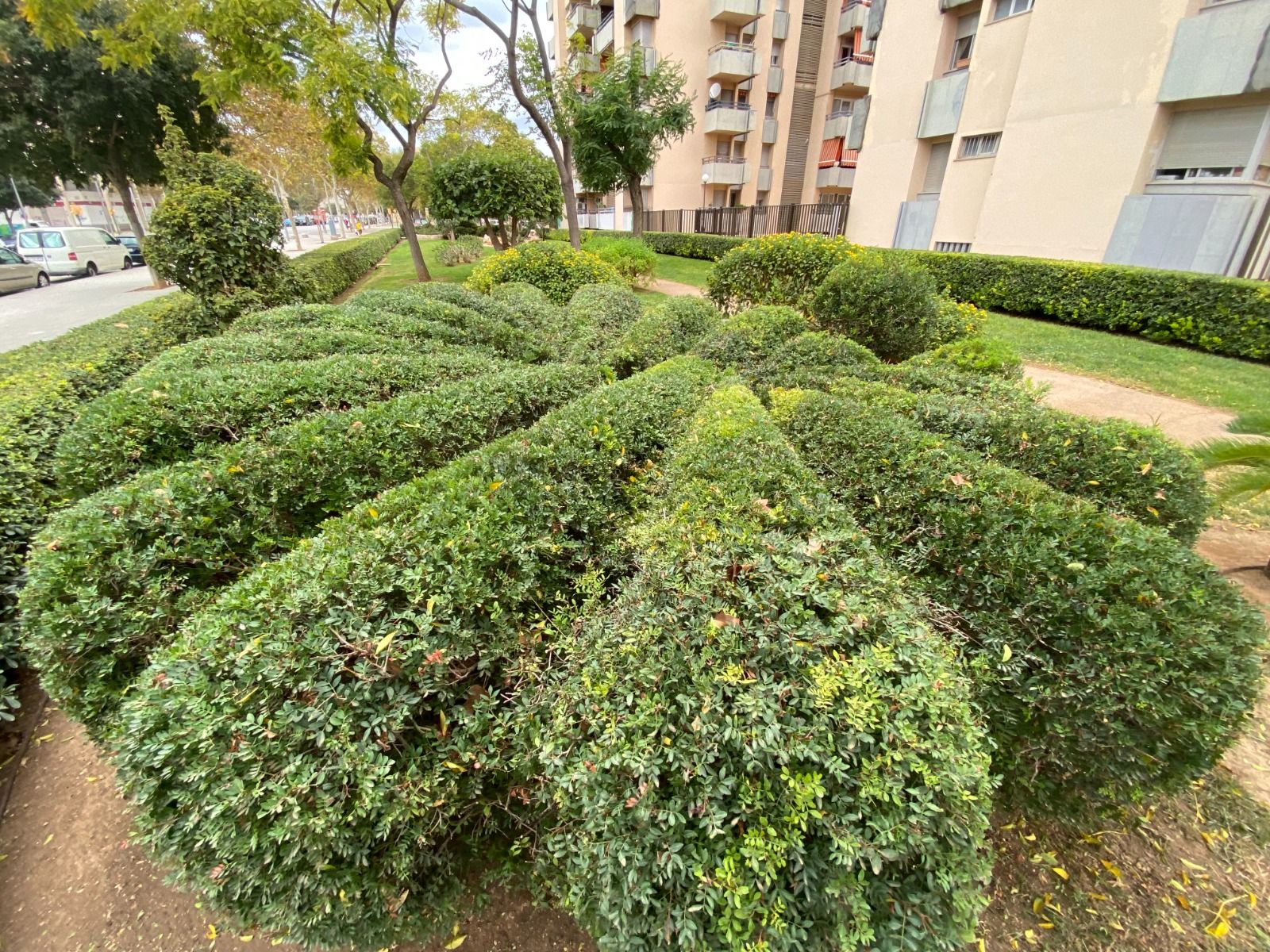 Las imágenes del jardín de los dragones de Nou Llevant