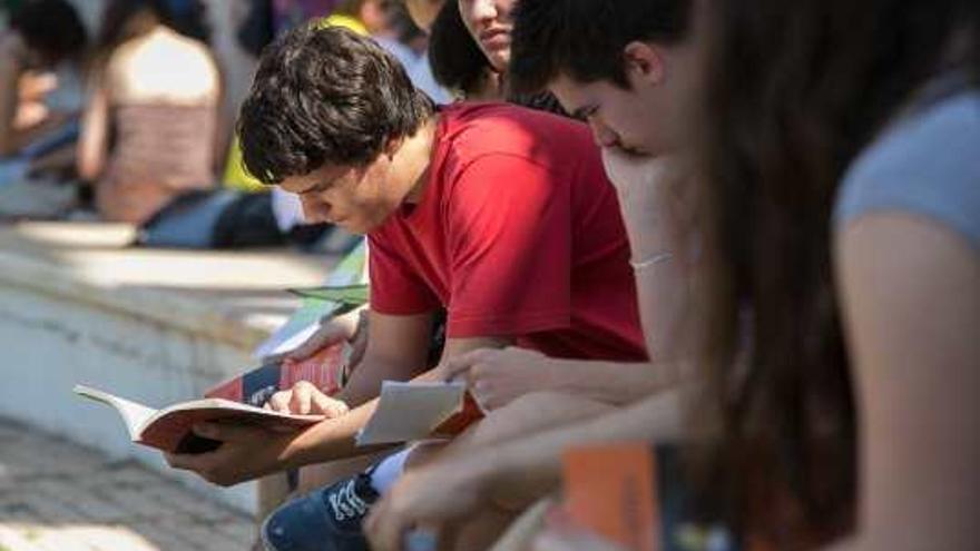 Alumnos dan un último repaso en el campus de la Universidad de Alicante, ayer.
