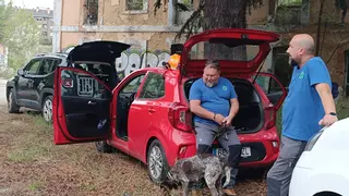 "Anja", la perra asturiana que busca cuerpos en la peor zona de Valencia: "Hay muy pocos que realicen esta labor"