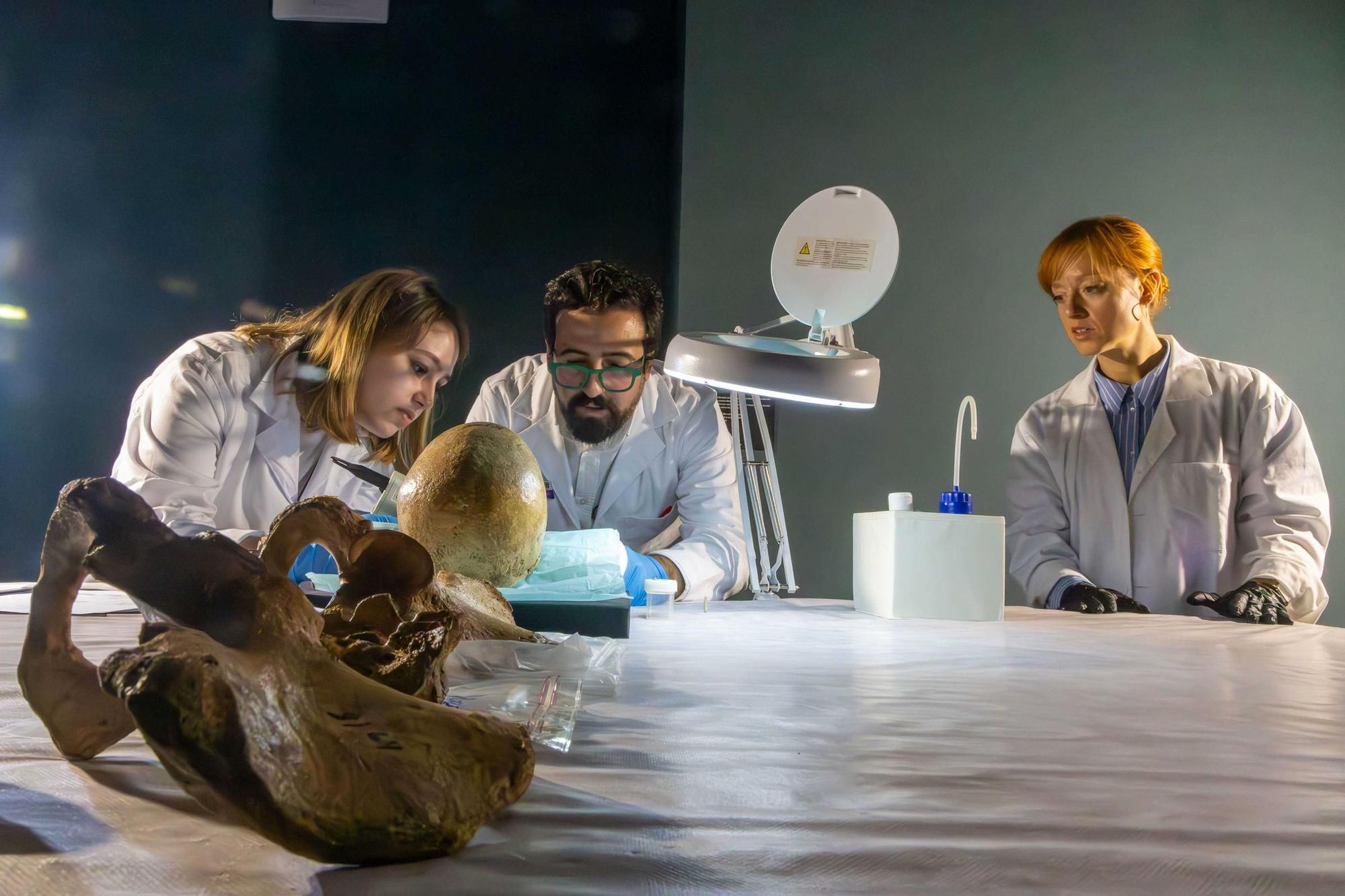 Recontruyendo una vida vikinga