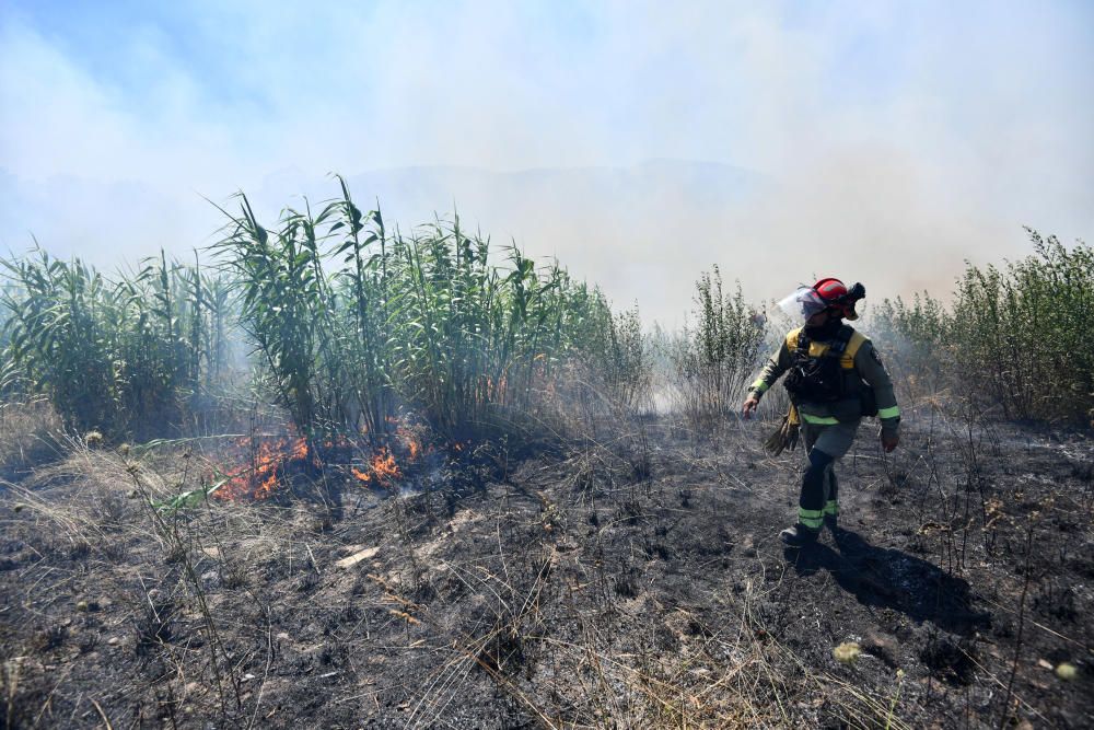 Despliegue contra un incendio cerca de casas en Lérez, Pontevedra