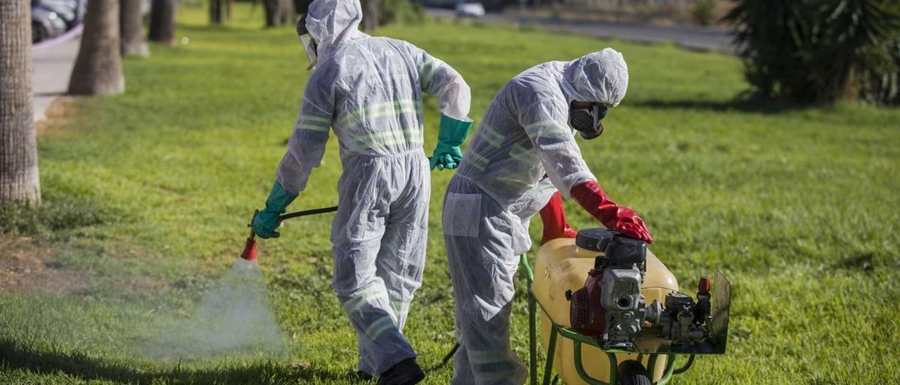 Fumigación de zonas afectadas por el virus del Nilo en Sevilla en el año 2020.