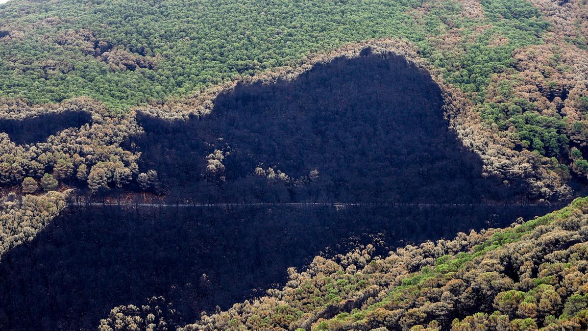 Zonas quemadas por el incendio de Sierra Bermeja, en el área de Puerto de Peñas Blancas a 14 de septiembre 2021 en Estepona (Málaga)