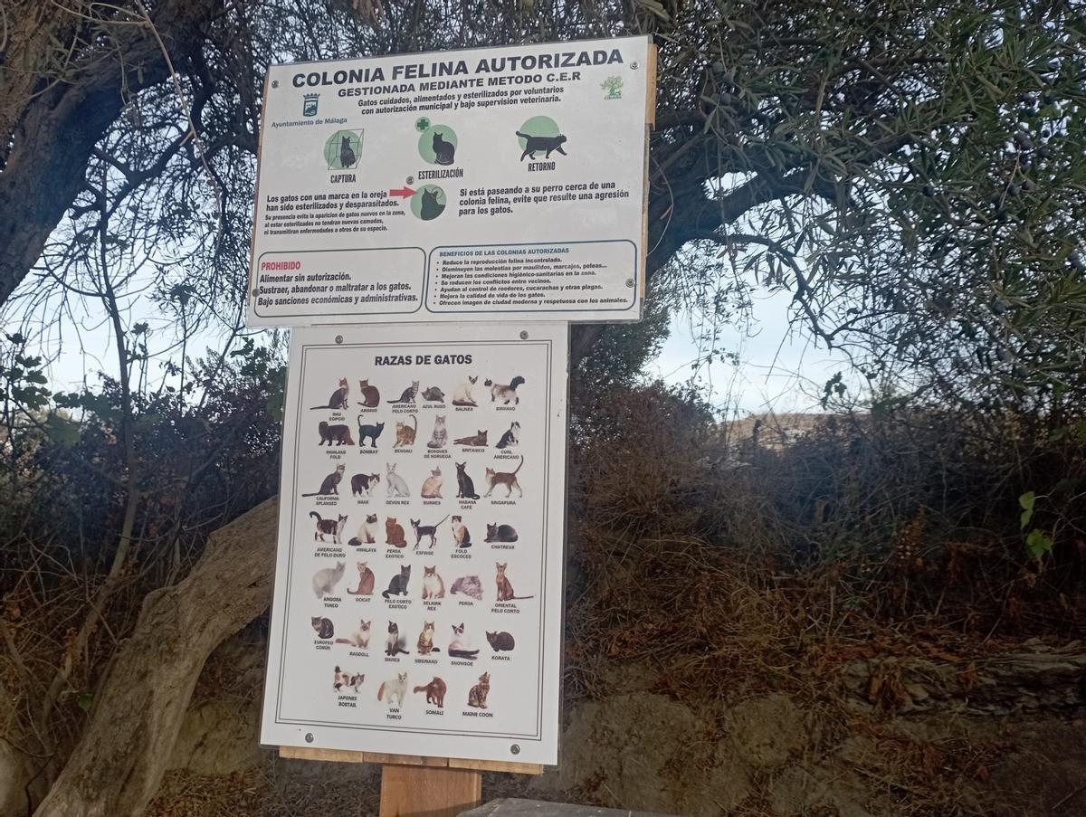 Cartel informativo sobre una colonia felina y la prohibición de alimentar los gatos sin autorización.