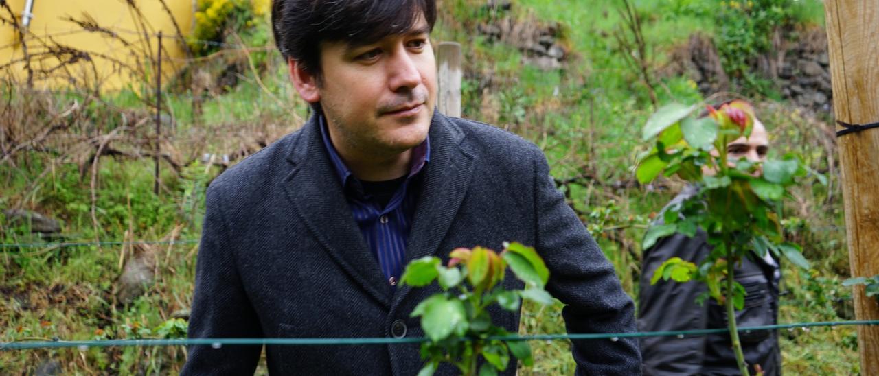 El consejero de Ciencia, Borja Sánchez, con un capullo de la Rosa Narcea.