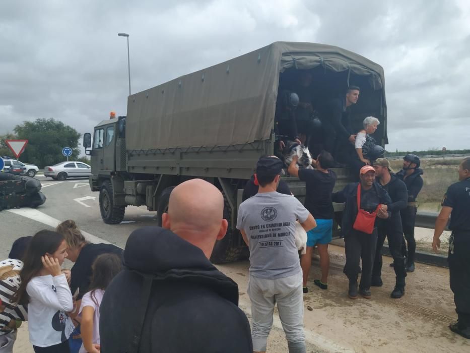 Imagen del despliegue militar en la Vega Baja para auxiliar a vecinos afectados por la gota fría.