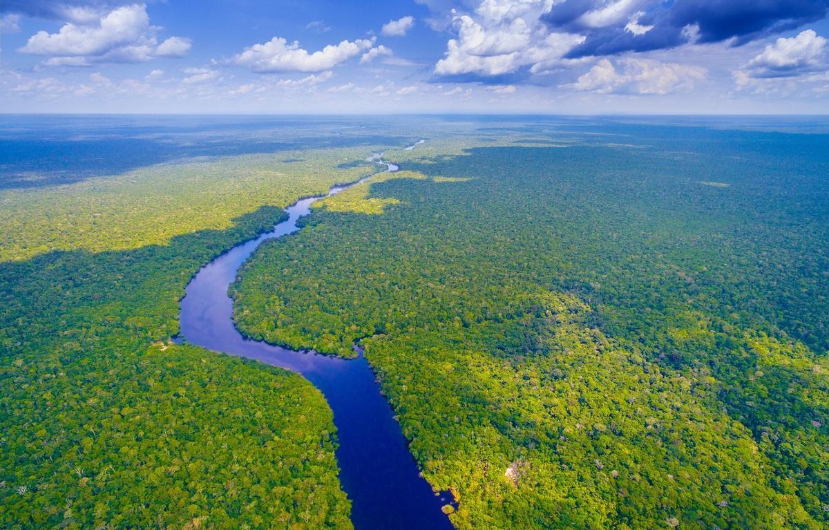La Amazonía sufre una grave sequía