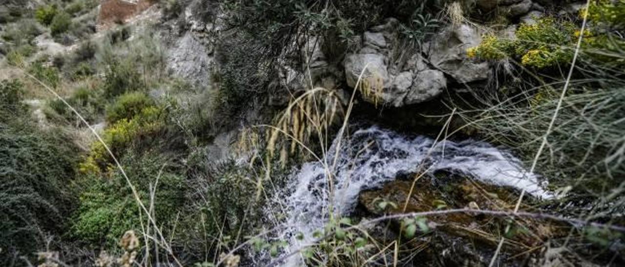 El agua vuelve a fluir y llenar los «tolls» de la rambla de Puça tras dos años de sequía