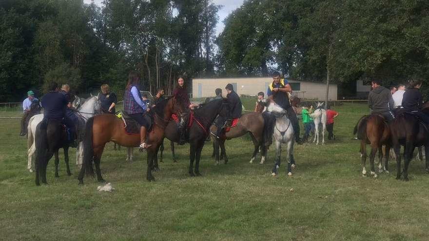 Algunos de los participantes en la ruta caballar. // FdV