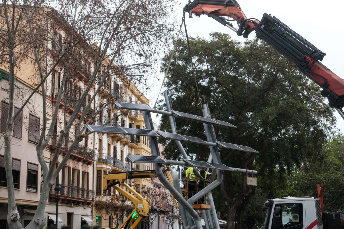 Todas las imágenes de la retirada del reloj de Vara de Rey en Ibiza