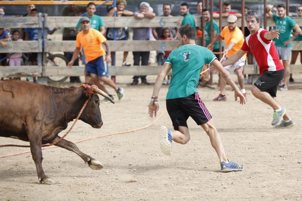 Vaquetes de Torroella de Montgrí