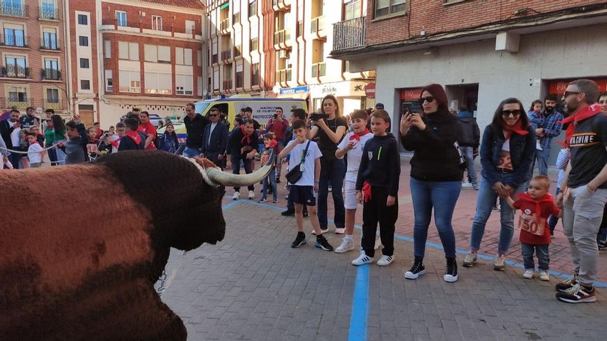 VÍDEO | La XX Carrera del Toro Enmaromado pone la nota deportiva a la tarde festiva en Benavente