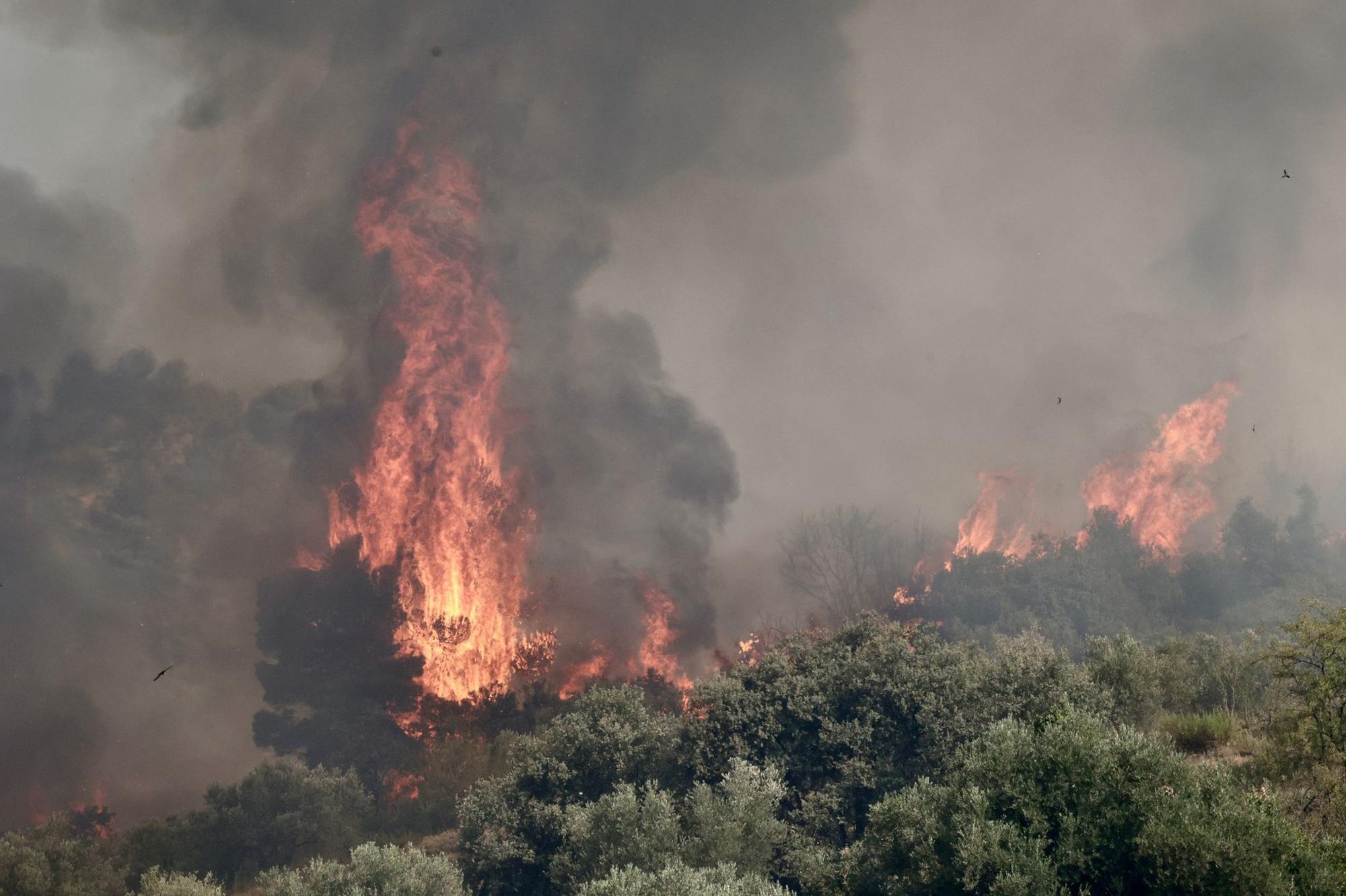 Tras cuatro días de incendio en la Vall d'Ebo, la climatología puede ponerse a favor de los bomberos.