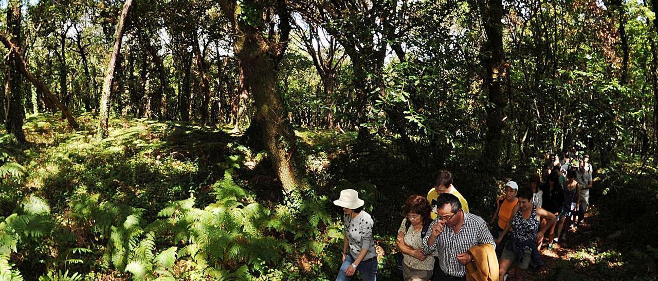 Una visita turística a la isla de Cortegada, incluida en el convenio Ramsar.