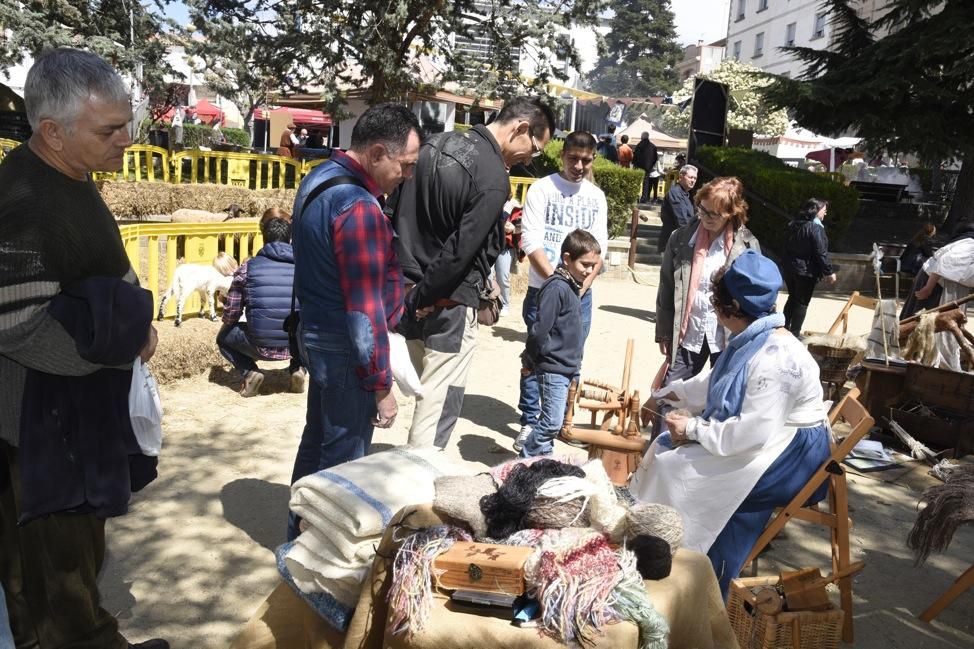 Monacàlia, fira de l''Abat a Navarcles. Jornada de diumenge