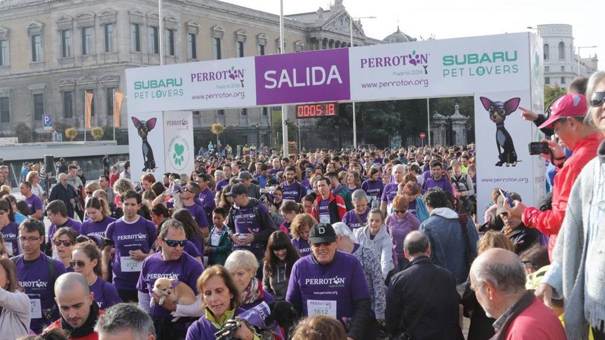 Así fue la V Carrera Perrotón en Madrid