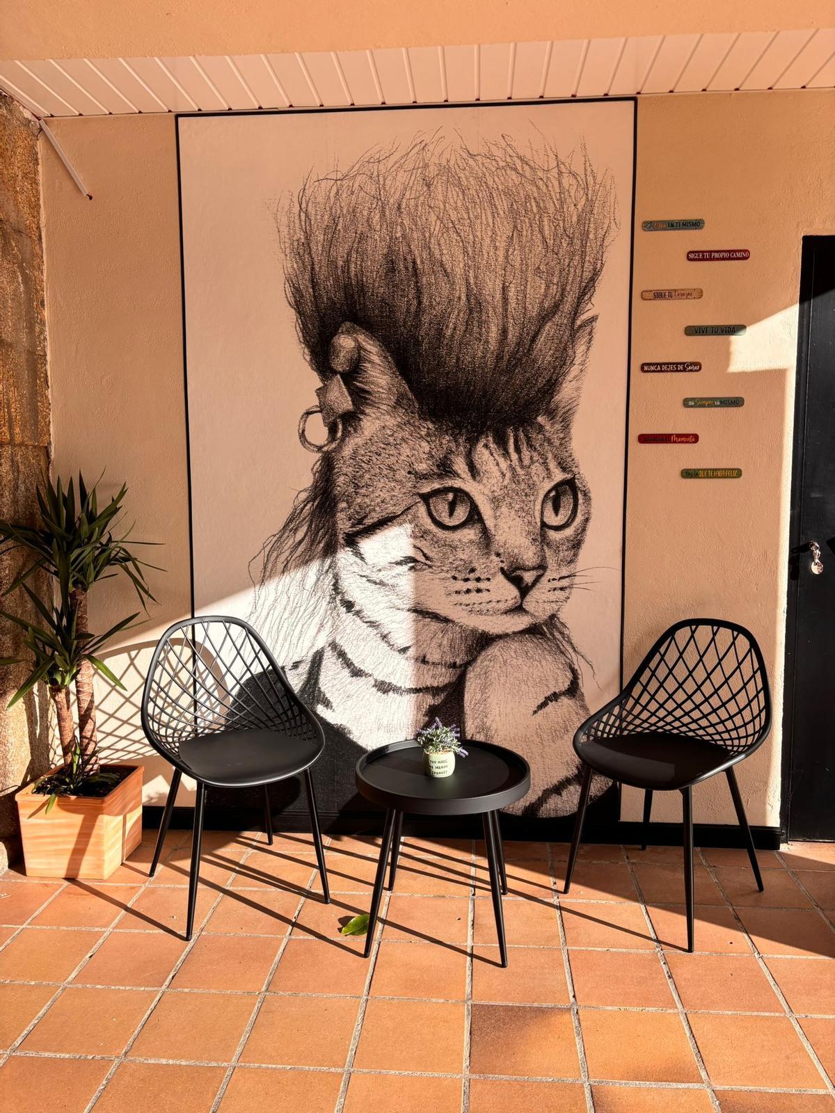 Valverde del Fresno estrena 'El Terraza', un local versátil para disfrutar todo el día